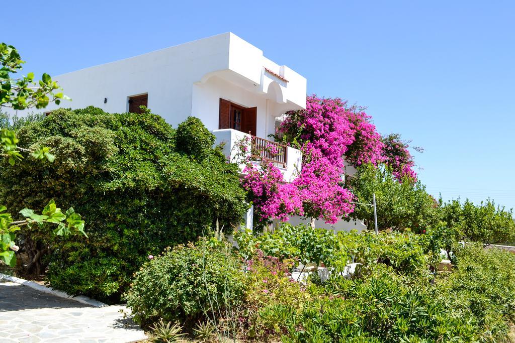 Maria Apartments Amoopi Exterior foto